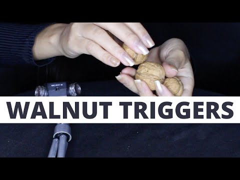 ASMR WALNUT TRIGGERS (NO TALKING)