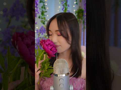 ASMR 🌿 Le Sacre du Printemps avec @france3normandie