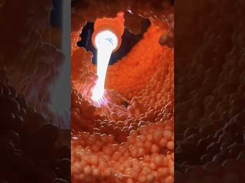 ASMR Removing eggs from an ear canal 🥚👂 #asmr #asmrsounds #asmrenespañol #asmrdoctor