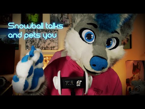 [Furry ASMR] Snowball Talks, and Pets You