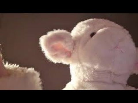Hand/Paw Visual Trigger ASMR ft. Goat teddy - livestream