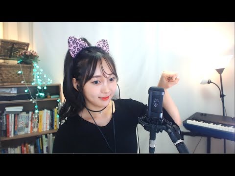 [LIVE] 1001 CAT NIGHT