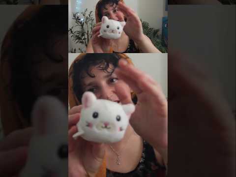 Soft kitty #personalattention #asmr #asmrvideos