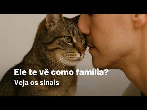 10 Sinais de Que Seu Gato Te Vê Como Parte da Família