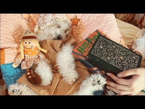 ASMR Getting ready for fall (tapping, whispering)