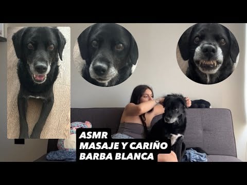 ASMR Masaje y CARIÑO a mi Perro Barba Blanca| SOFIWI