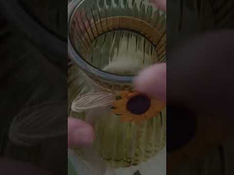 ASMR Instant Tingles!
