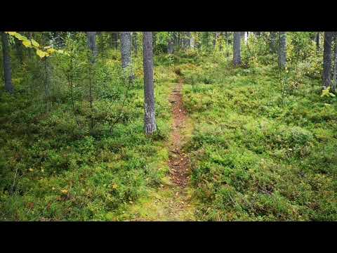 ASMR Suomi - opettele pitämään minuutin mikrotauko
