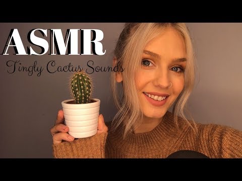 ASMR Cactus Sounds (Unusual Trigger For Tingles)