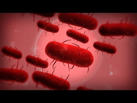Plague Inc. (Bactérie) - Gaming / ASMR Français