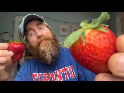 ASMR🍓Ultra Random Lofi Fast Aggressive🍓