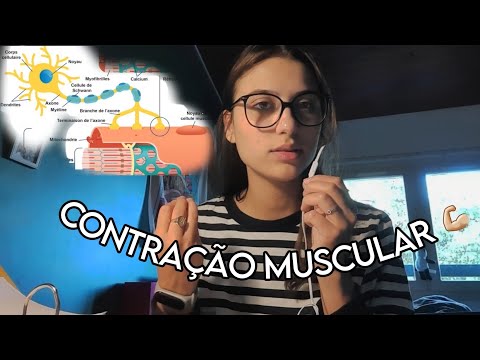 ASMR BIO: TE EXPLICANDO A CONTRAÇÃO MUSCULAR 💪🏼❤️