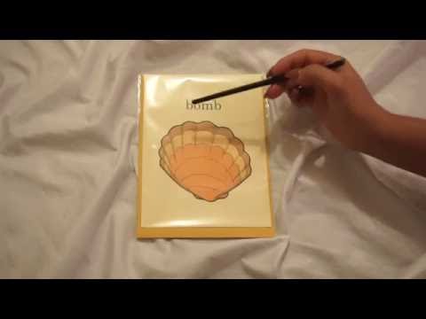 Slow Whispering, Tapping, Tracing & Page Turning | Lily Whispers ASMR