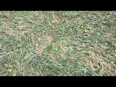 AmberMR: 《part 2》 ** Nature Walk **(soft Camera so