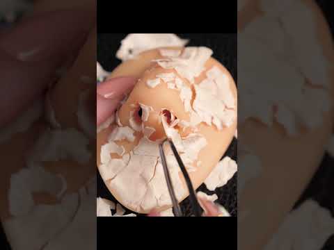 一週間禁欲生活 どれが一番キツい？🈲ASMR