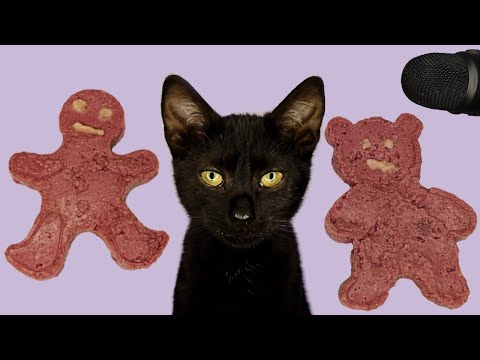 Cat ASMR Eating Shaped Food