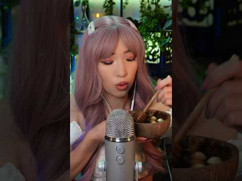 EXPÉRIENCE ASMR N.2 (billes de bois : quel est le meilleur bol ?)