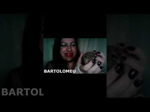 ASMR-SHORTS MEUS RATOS BARTOLOMEU E BORIS #rumo2k #asmr #shorts_ #asmrportuguês