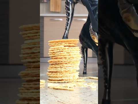 Metal Guardians vs. Crunchy Crackers! Oddly Satisfying Food Crushing!