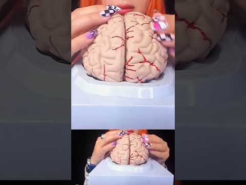 ASMR Brain Massage | Relaxing 3D Sounds for Mind Healing & Deep Focused #shortvideo #shorts