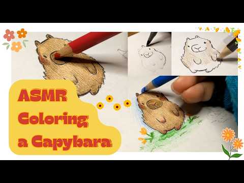 ASMR Coloring Capybara No Talking