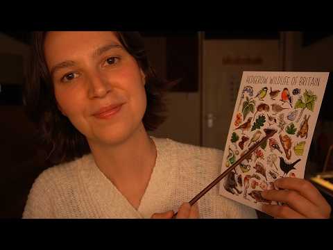 ASMR Follow My Instructions (Eyes Closed Halfway Through)
