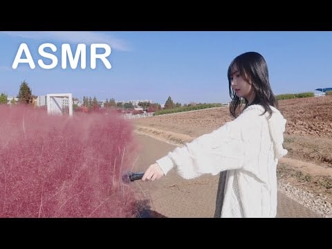 자연 냅다 두들기기🌾 팜랜드 ASMR | Public ASMR , 한국어 ASMR , ASMR Korean