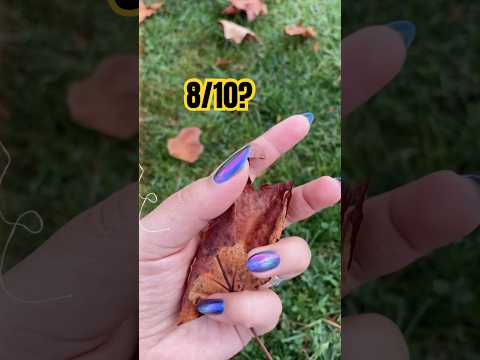 ASMR rate the crunch 🍁 hojas de otoño 🍂 #asmr #sleepaid #asmrvideo