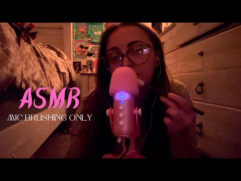 ASMR *Mic Brushing Only* Stipples