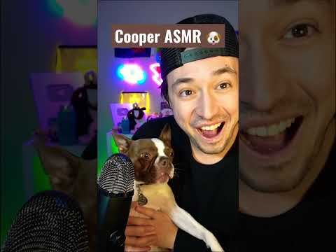 🐶 Dog ASMR | Mukbang ASMR