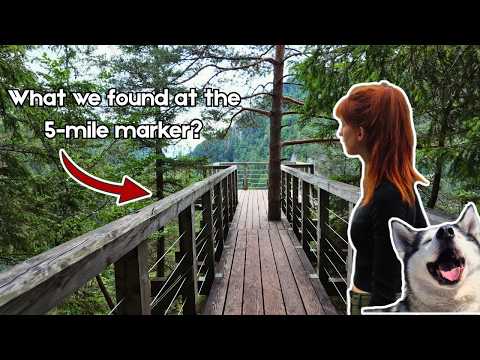lets see where this trail takes us... (hiking vlog)