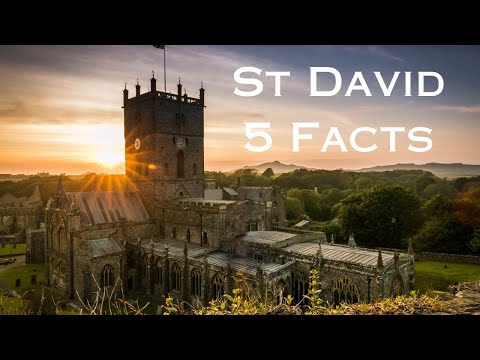 ASMR Softly Spoken: 5 Facts about St David, patron saint of Wales