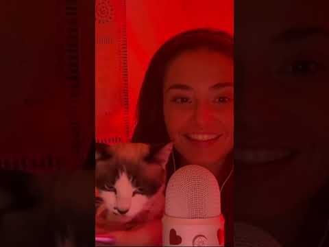 Cat ASMR  #catasmr #cute