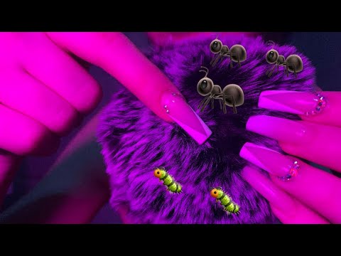 [ASMR - Whisper] Can you spot any bugs? 🐜