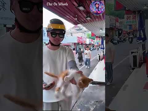 From Cute Cats to Sweet Smiles: Delivery Vlog