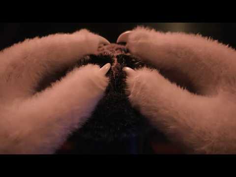 Close-Up Furry Scalp Massage [FURRY ASMR]