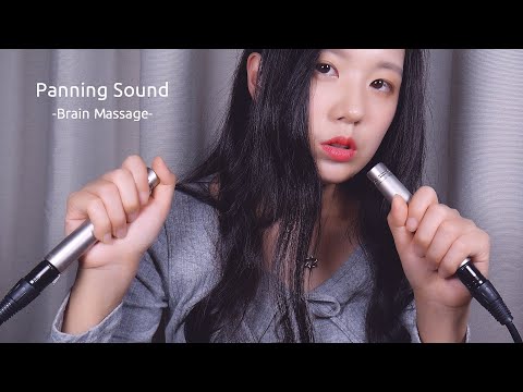 [Panning Sound] ASMR Tingly Brain Massage & Ear Blowing | Mic Rubbing, Touching | 1Hour (No Talking)