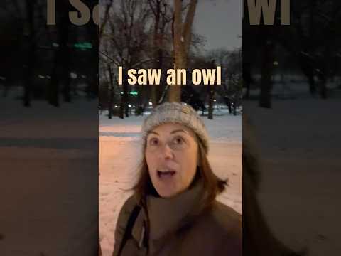 Ice skating, an Owl and Dracula