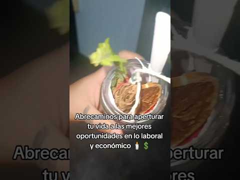 Te enseño a elaborar un #abrecaminos para que lleguen mejores oportunidades en tu vida y economía 💚