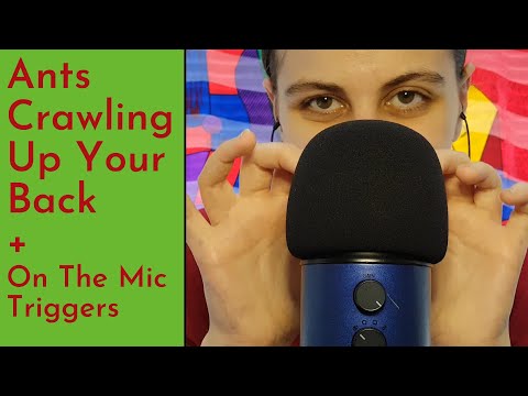 ASMR Ants Crawling Up Your Back, Snakes Slithering Down - Whispered Rhyme With On The Mic Triggers