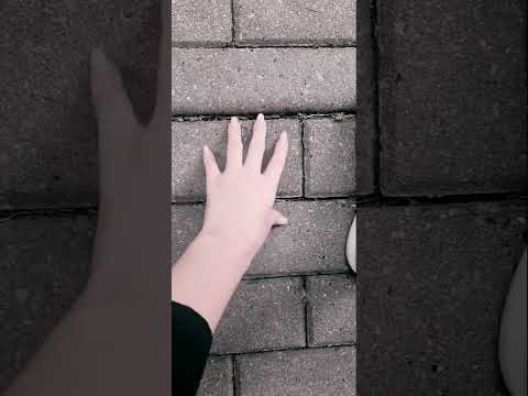 ASMR Scratching #asmr #shorts #scratch