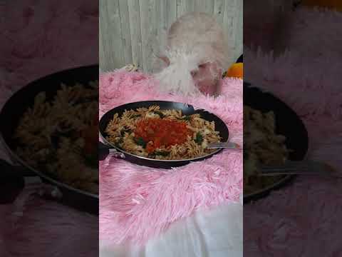 🐩❤🍝