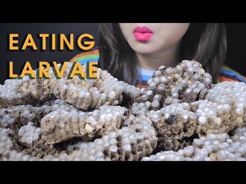 ASMR COOKING WASP LARVAE (PORRIDGE WITH LARVAE AND FRIED EGGS) EATING SOUND | LINH-ASMR 먹방 mukbang