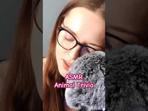 ASMR Animal Trivia 🐝 #asmr #shorts