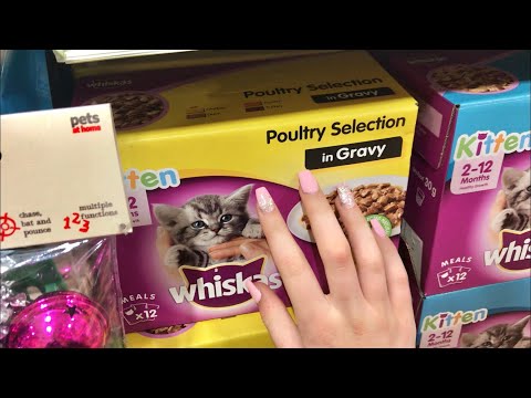 ASMR | At Petsathome 🐱🐶