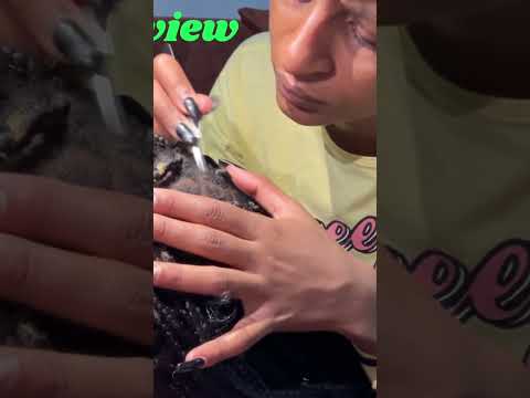 My Sister PICKING THRU | SCRATCHING btn my braids | FULL VIDEO ON MALAIKA ASMR link below #shorts
