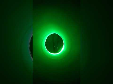ASMR 🦠 Alien Examination