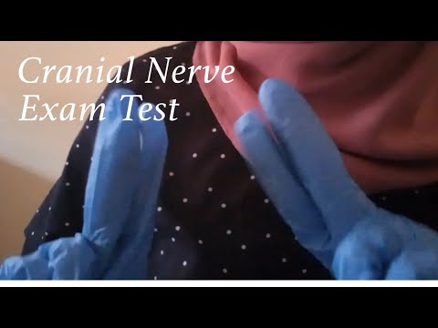 ASMR | 1 Minute Cranial Nerve Exam (Fast)