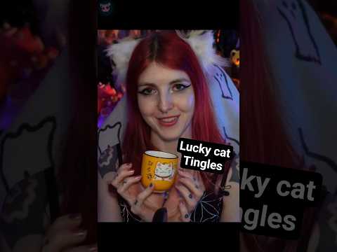 Twinkly lucky cat tingles #ASMR