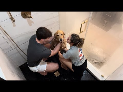 ASMR Giving My Dog a Bath (Soft Spoken) + BOYFRIEND REVEAL